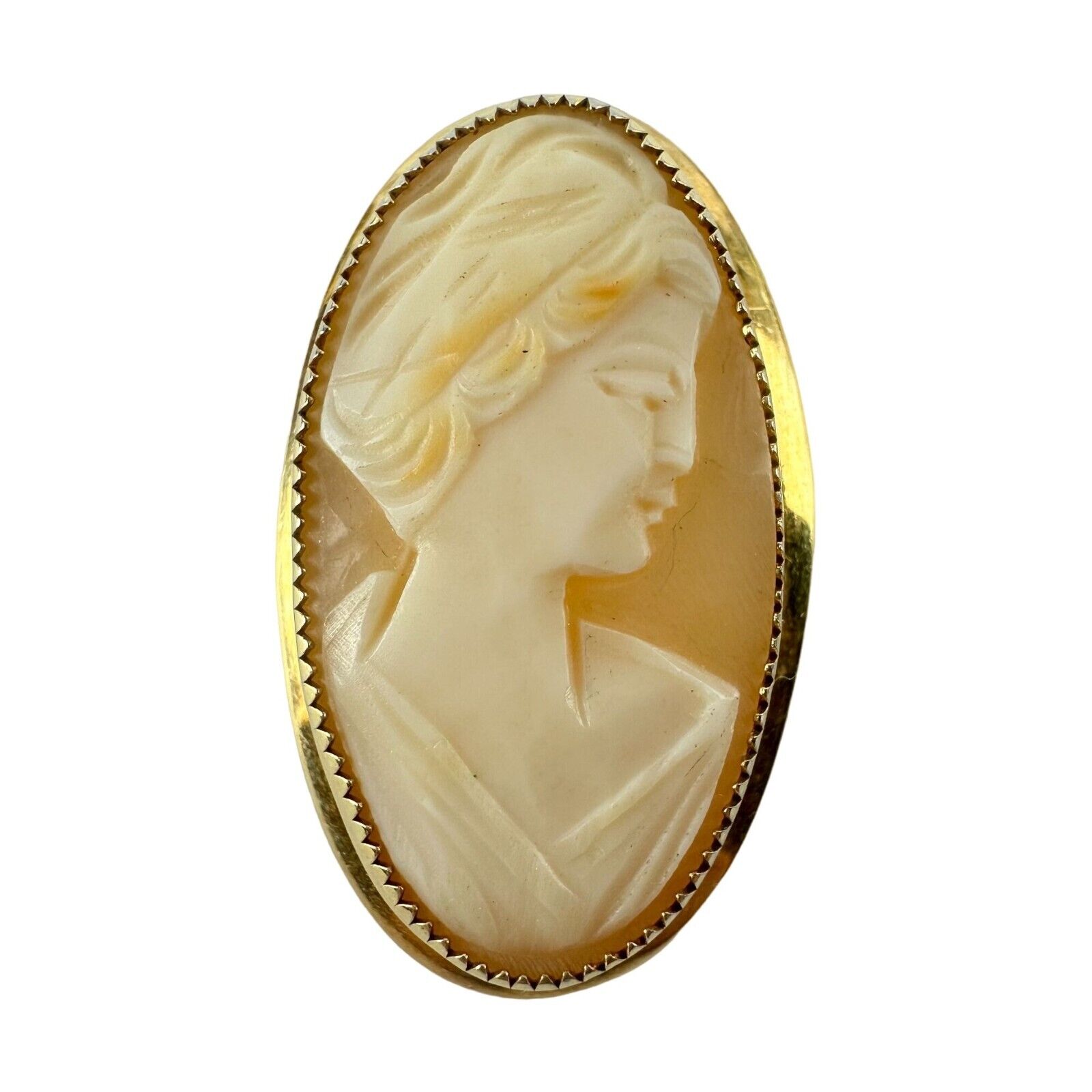 Catamore 12k Gold Filled Shell Cameo Brooch Cameo