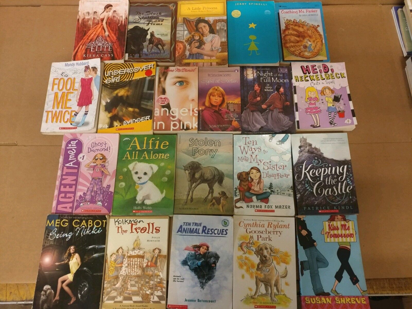 Lot of 20 Chapter Books for GIRLS Youth Early Reader Young Adult Children RANDOM Без бренда - фотография #6