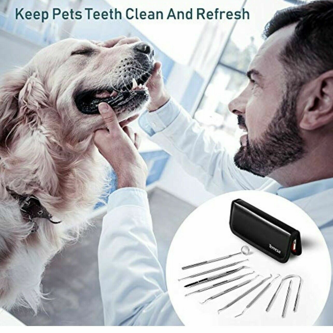 Dental Tooth Cleaning Kit Dentist Scraper Pick Tool Calculus Plaque Flos Remover TERRESA Does Not Apply - фотография #3