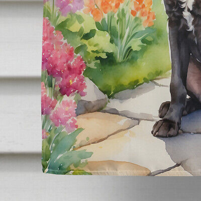 American Water Spaniel Spring Garden Flag Canvas House Size DAC6553CHF Без бренда - фотография #4
