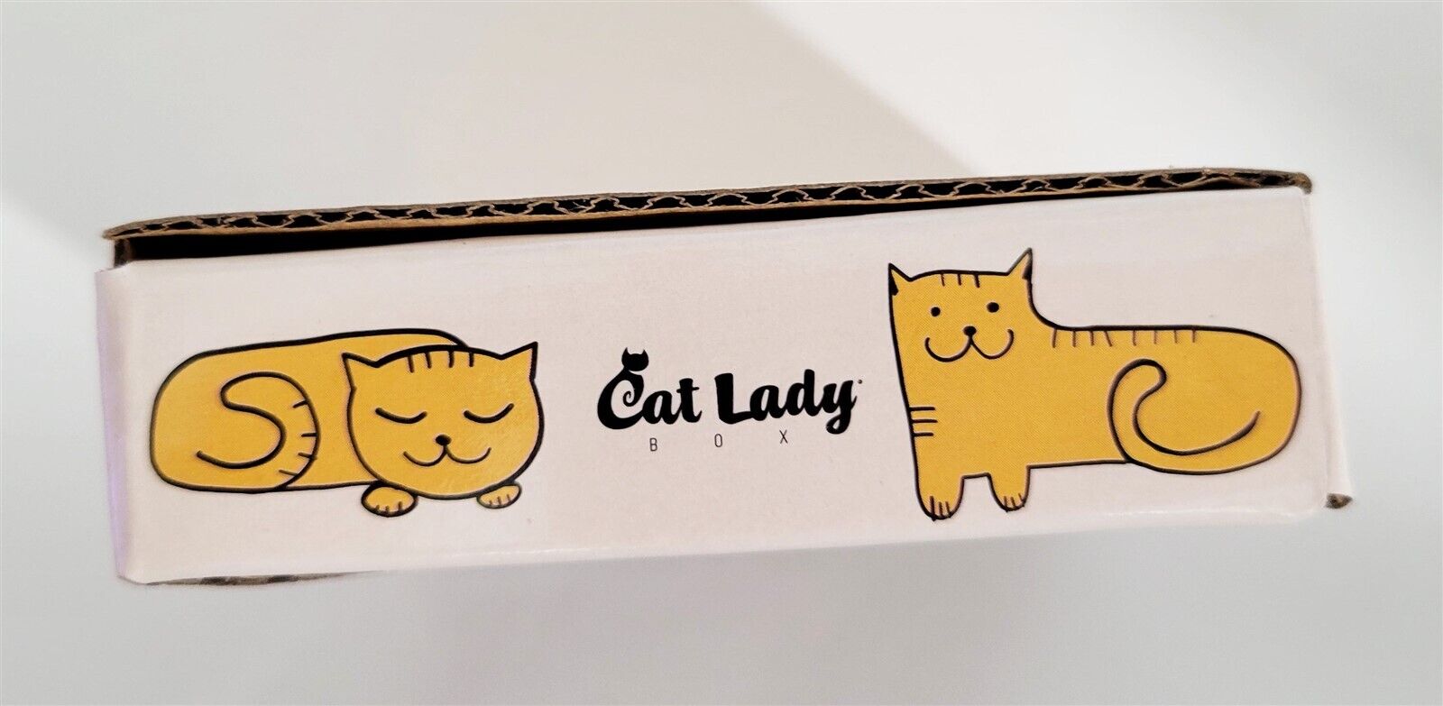 Cat Lady Box Orange Kitty Cat Cats Trinket Tray Jewelry Dish Crazy Cat Lady 3 in Cat Lady Box - фотография #9