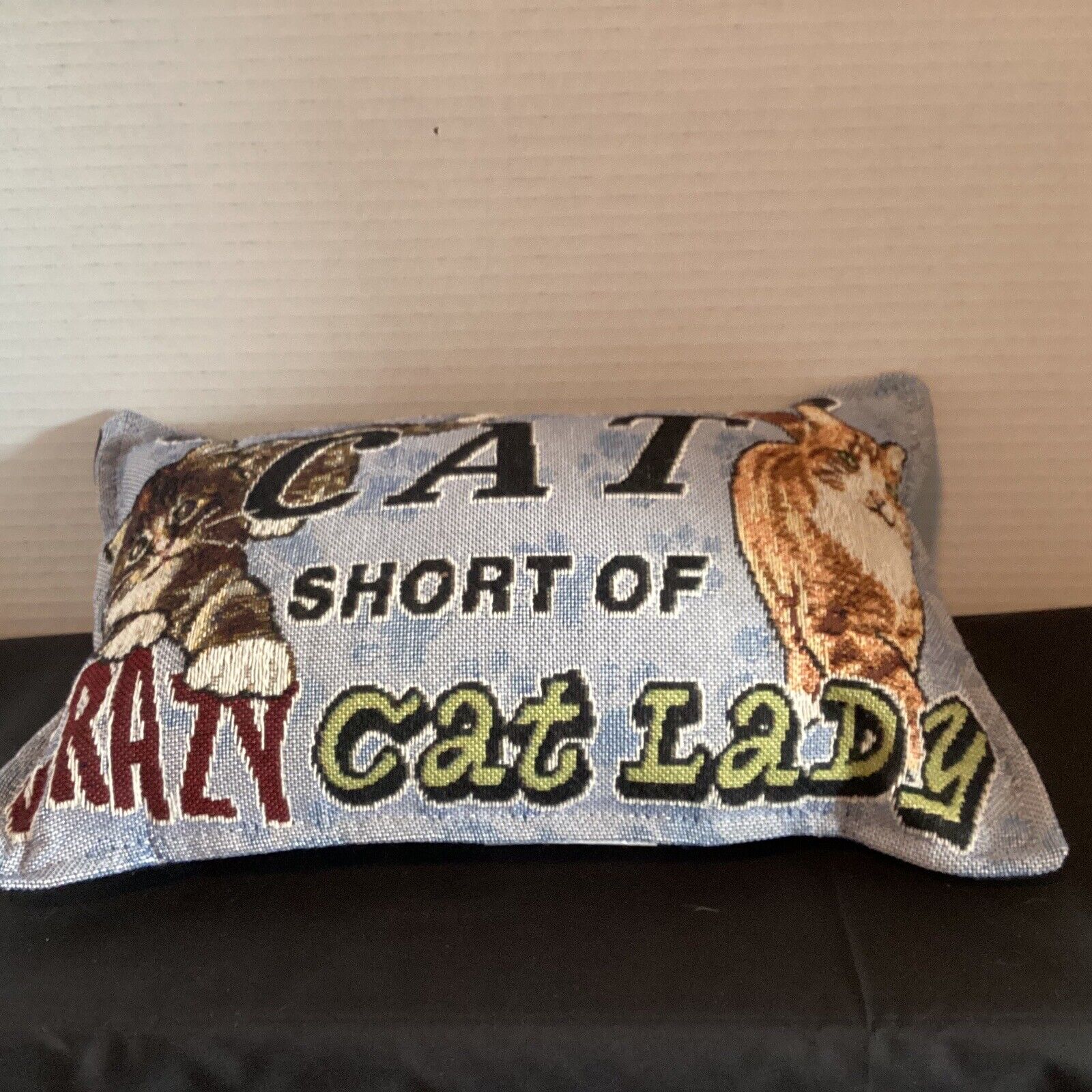 Cat Throw Pillow Tapestry “One Cat Short” Unbranded - фотография #3