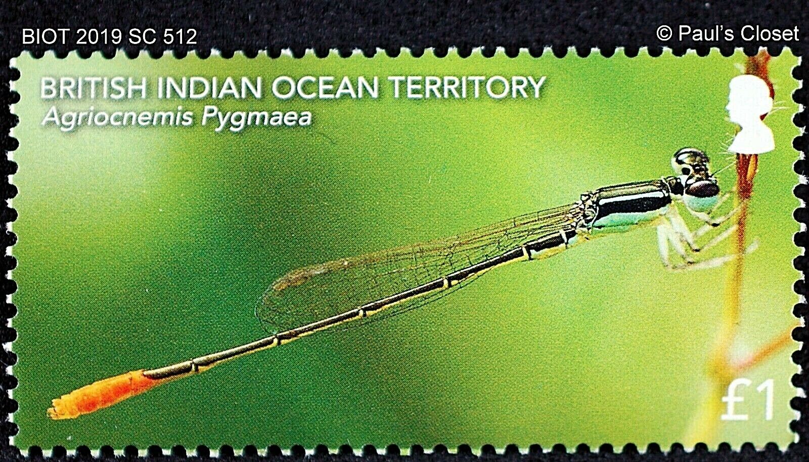 BRITISH INDIAN OCEAN TERRITORY 2019 MNH DRAGONFLIES SET OF 6 VERY FINE Без бренда - фотография #4
