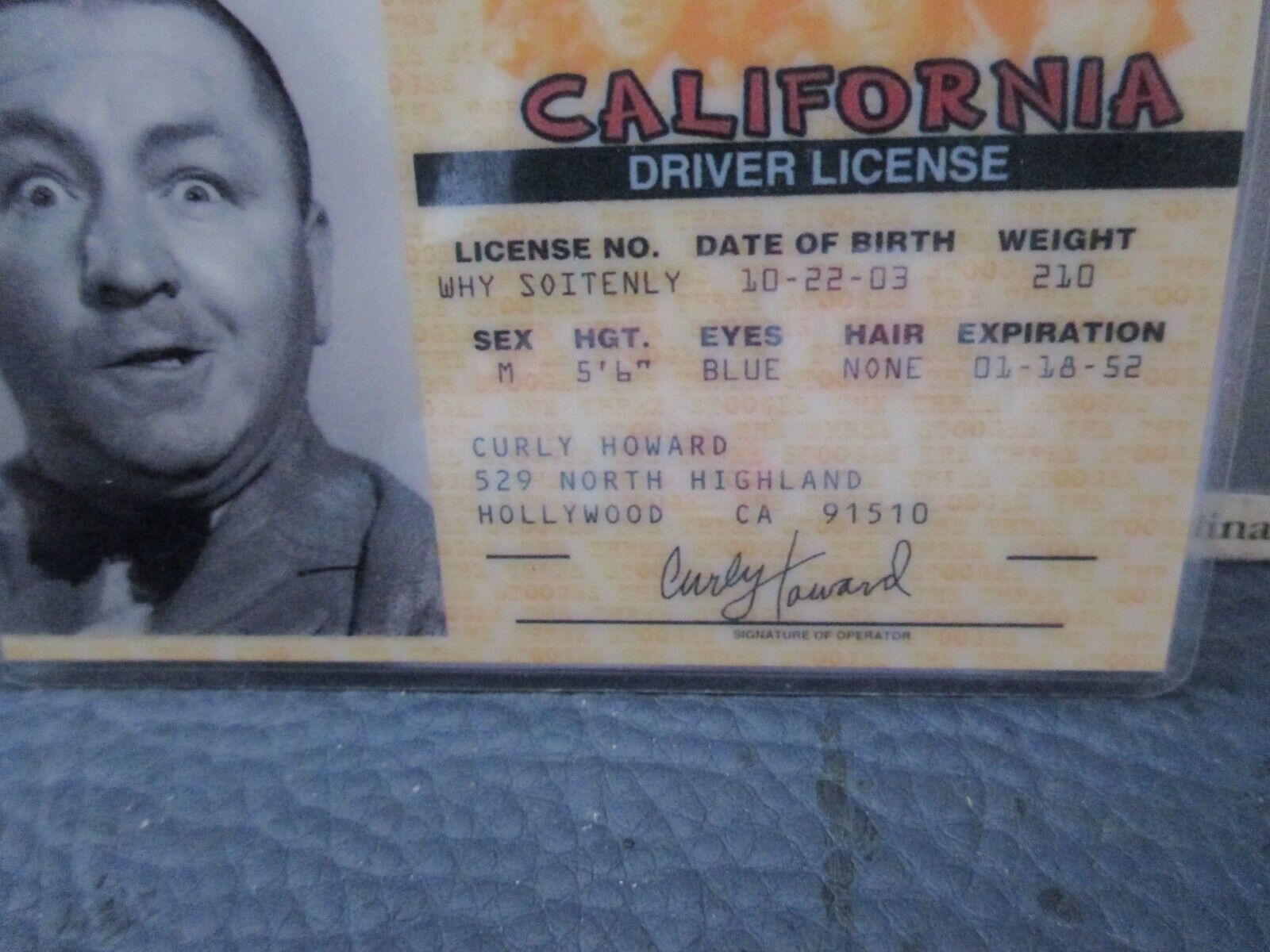 Set of 3 Three Stooges Laminated Drivers License, Moe, Larry, Curly,  LOOK! Без бренда - фотография #4