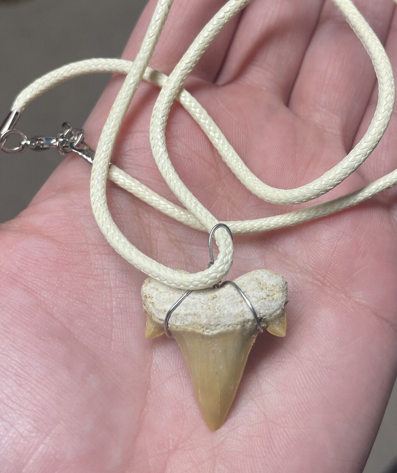 Shark Tooth Necklace (1 Included) Без бренда