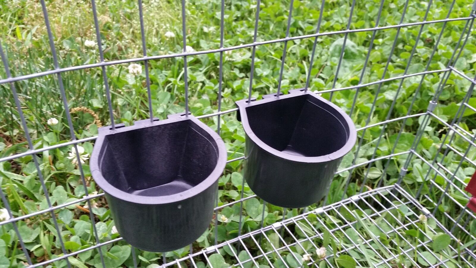 Set of 2 Feeder / Water Cups for Small Animal, Rabbit or Quail Wire Cages.   Game Bird Supply