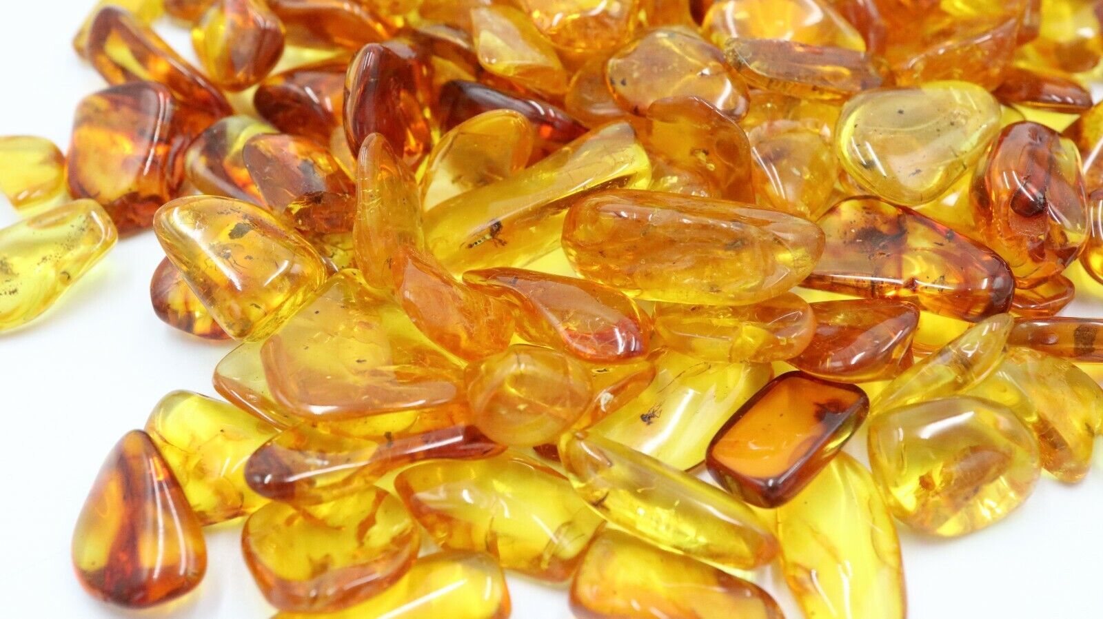 WHOLESALE 20 Baltic LARGER Amber Insects | Certified | Buy more with Discount amber-us - фотография #4