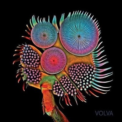 Volva by ECHOLOT Без бренда N/A