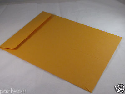 10 Manila 9 x 12 Kraft Catalog Mailing Envelopes Brown Self Seal Mailers  9”x12" Paxly Kraft Envelope Does Not Apply