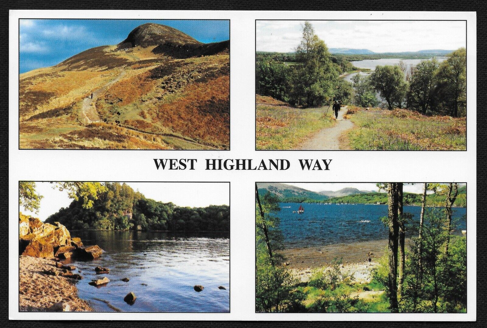 WEST HIGHLAND WAY - SCOTLAND Souvenir Emb. Patch & Postcard Not Addressed *MINT* Без бренда - фотография #3