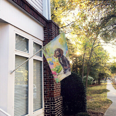 American Water Spaniel Spring Garden Flag Canvas House Size DAC6553CHF Без бренда - фотография #2
