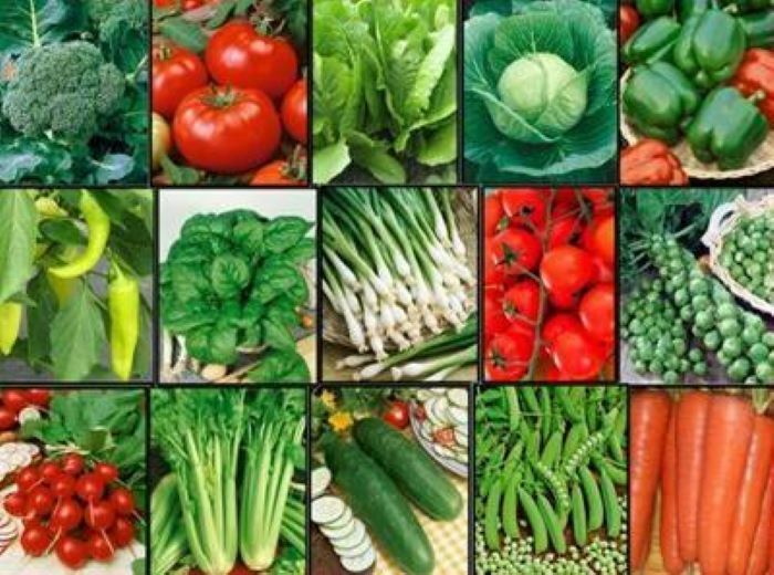 Vegetable FAVORITES Garden Lot ~ 15 Varieties ~ Over 1,625 Fresh Seeds ~ NON GMO Vegetable Seeds