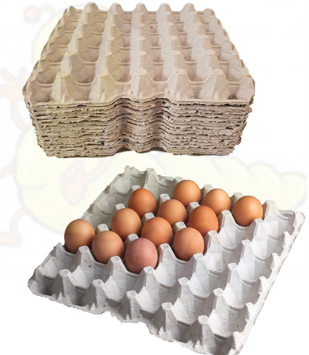 6 PACK Egg Crates Crickets Feeder Flat Trays -  Fire Starter Egg Carton Holder Doug's Bugs 30-Slot Design