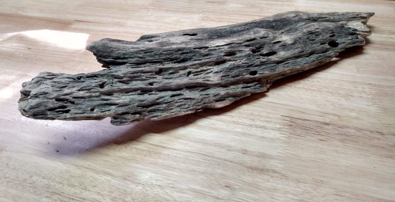 Lot of 5 Driftwood Pieces Reptile Terrarium Tank Art Enclosure Habitat Vivarium  Unbranded - фотография #4
