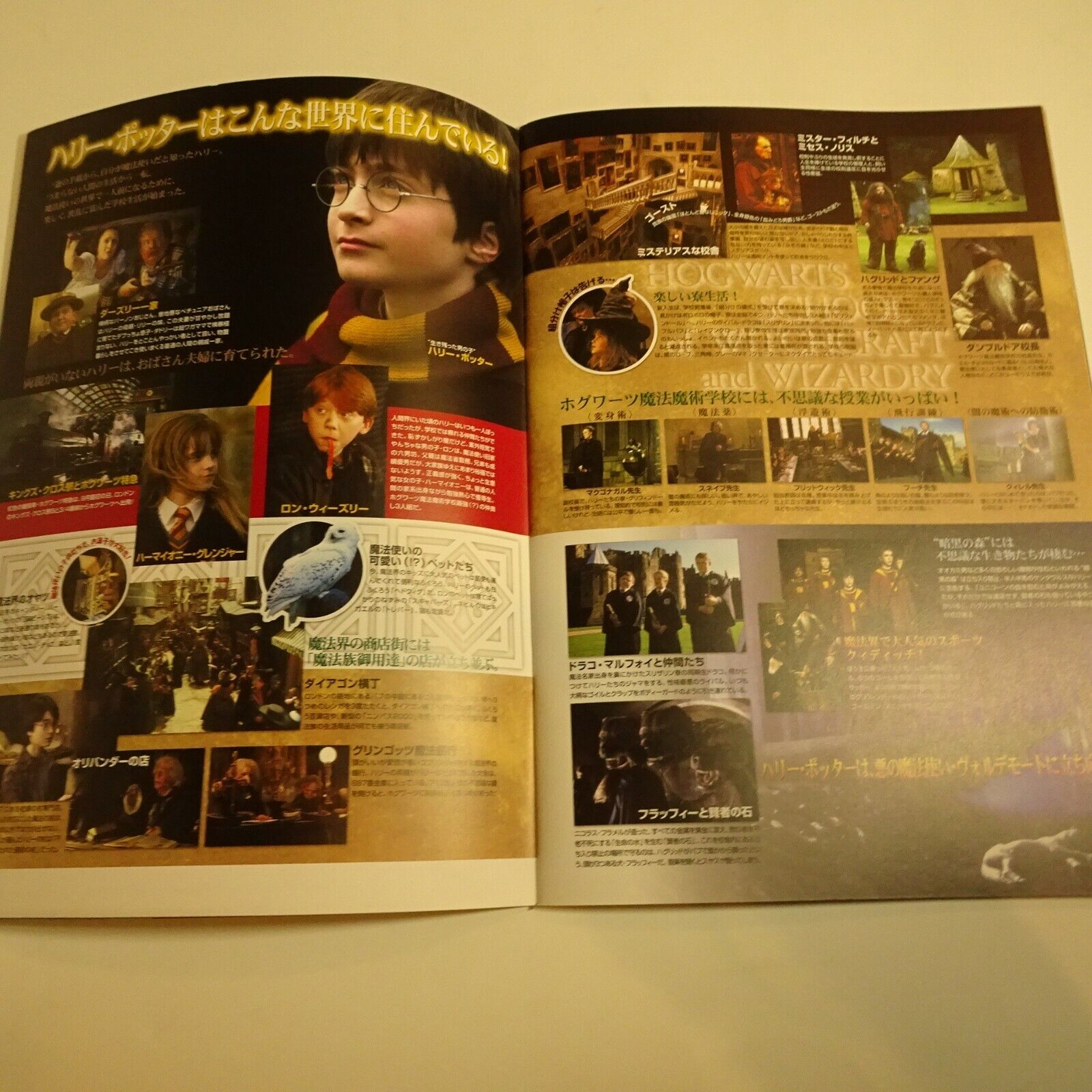 HARRY POTTER Set of 2 THE PHILOSOPHER'S STONE Japanese  Movie Program 2001 Без бренда - фотография #7