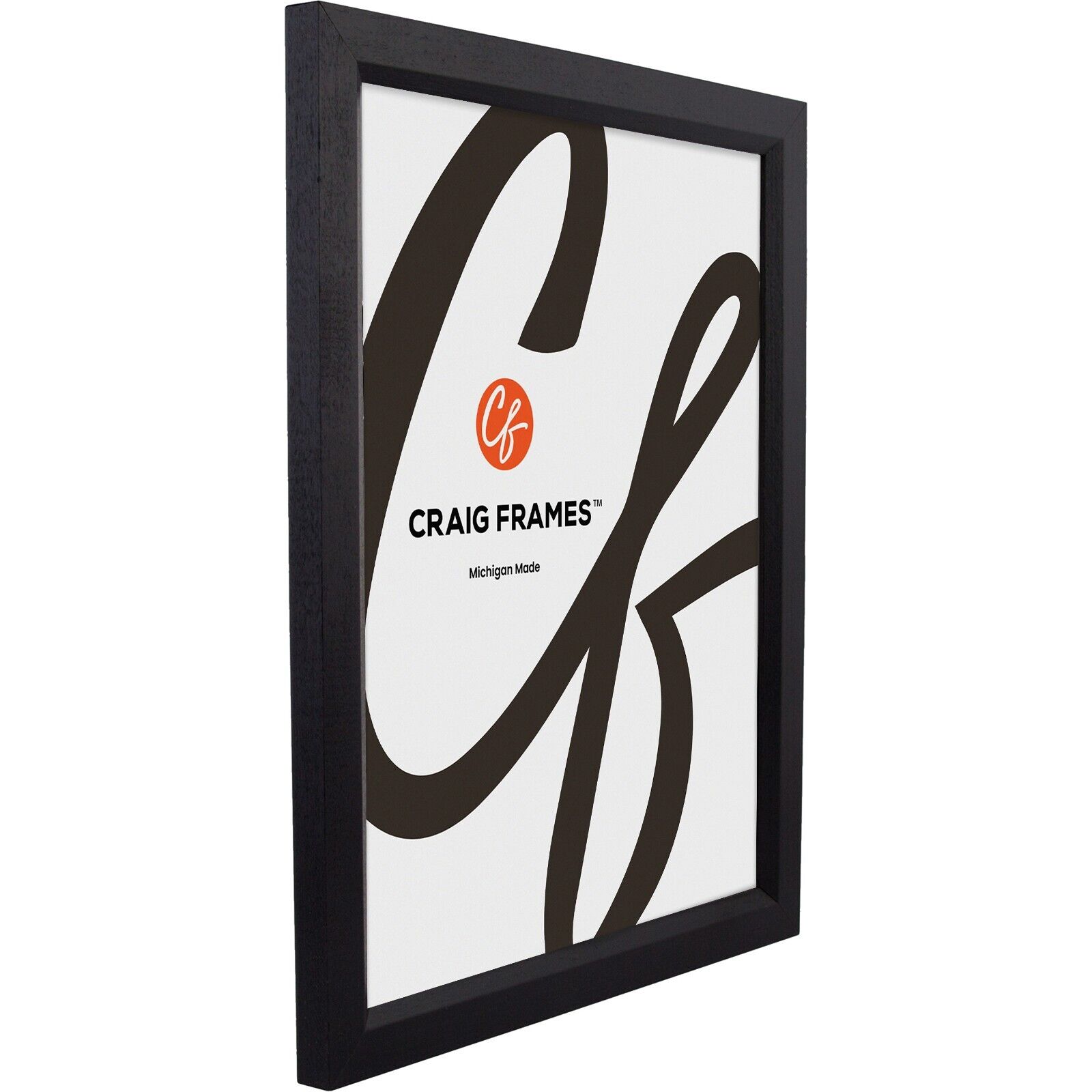 Economy Black, .84 Inch Wide Simple Hardwood Picture Frame, 8" Sizes Craig Frames 7171610BK - фотография #2