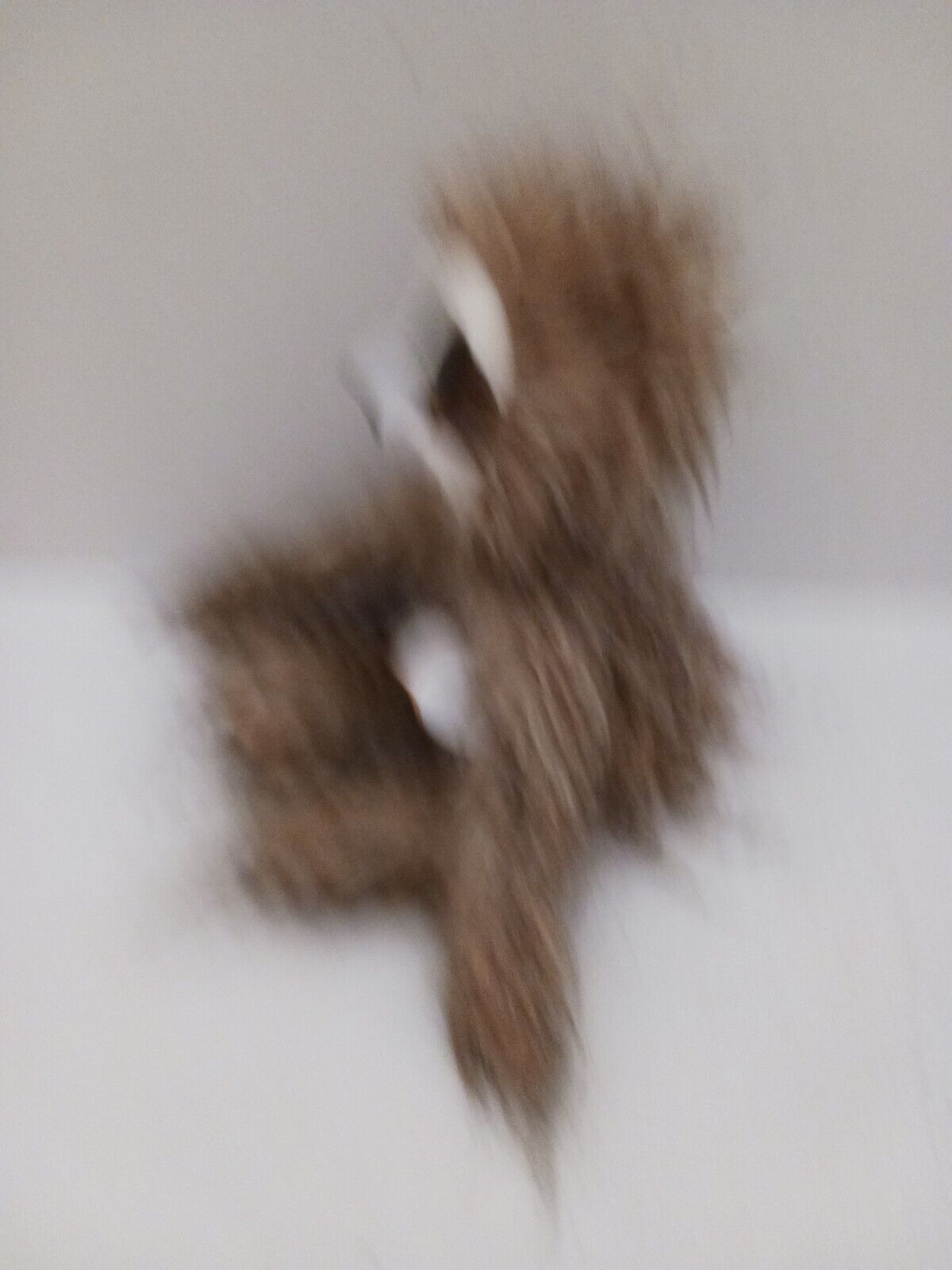 New Ty Beanie Boo Sully Sloth Stuffed Plush Long Hair Glitter Eyes Ty - фотография #4