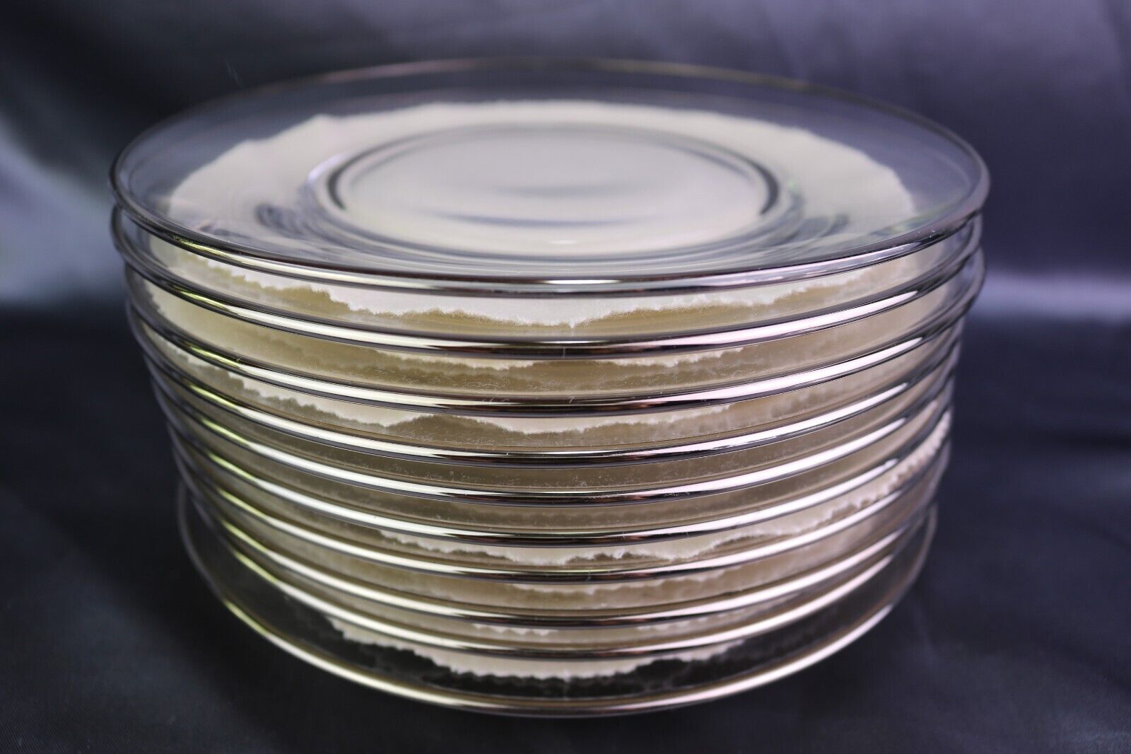 Set of 10 Elegant Plain Clear Crystal Salad Dessert Plate 7 1/2 " Platinum Trim Unknown Maker - фотография #5