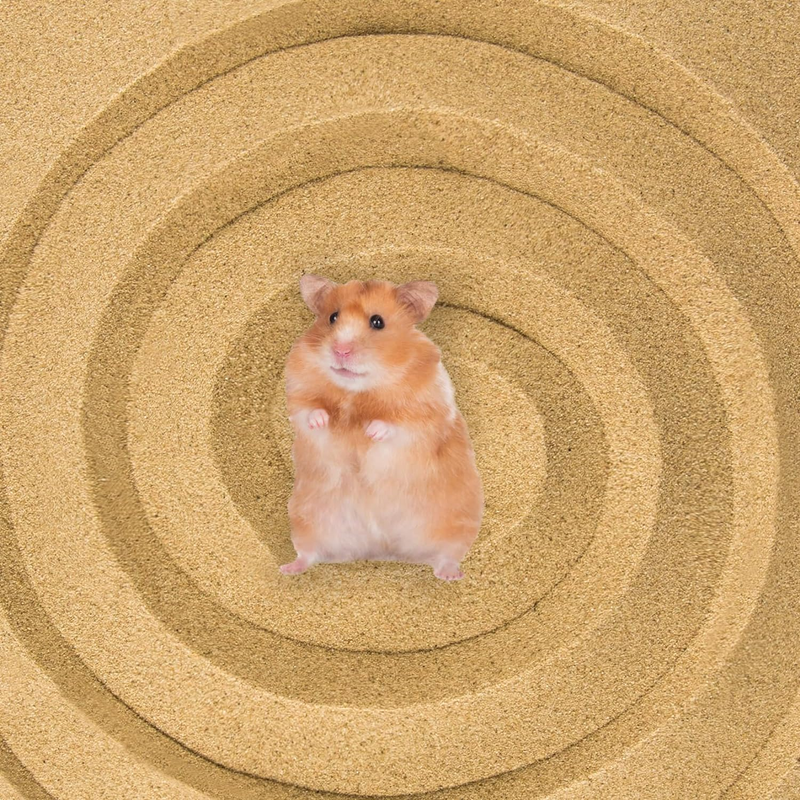 Desert Bath Sand No-Dust Bath or Potty Litter Sand Other Small Pets 900 Unbranded
