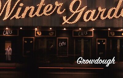 Cats Andrew Lloyd Webber New York City Broadway Winter Garden 4 35mm Slides  Без бренда - фотография #3