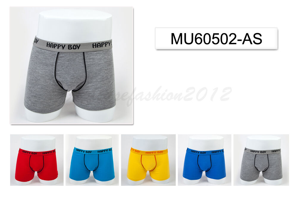 5pc Size 3 2－4 years Comfort Cotton Boys Boxers Briefs Classic Kids Underwear Unbranded