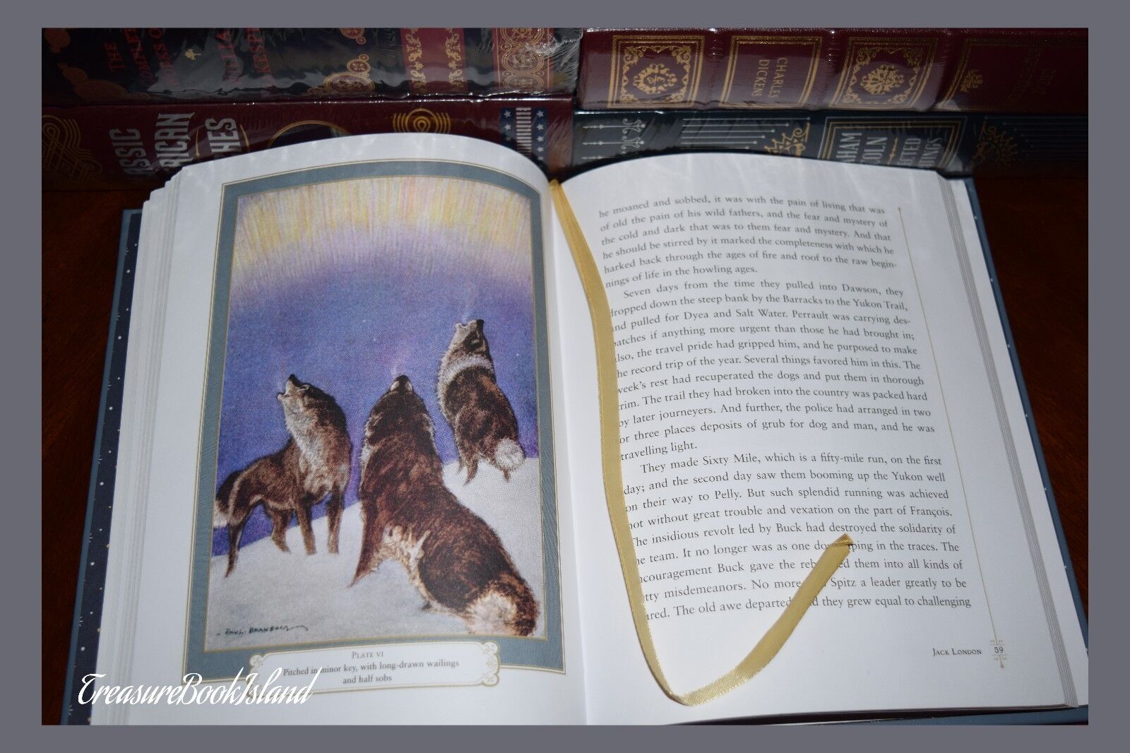 New Call of the Wild by Jack London Illustrated Leather Bound Sealed Collectible Без бренда - фотография #6