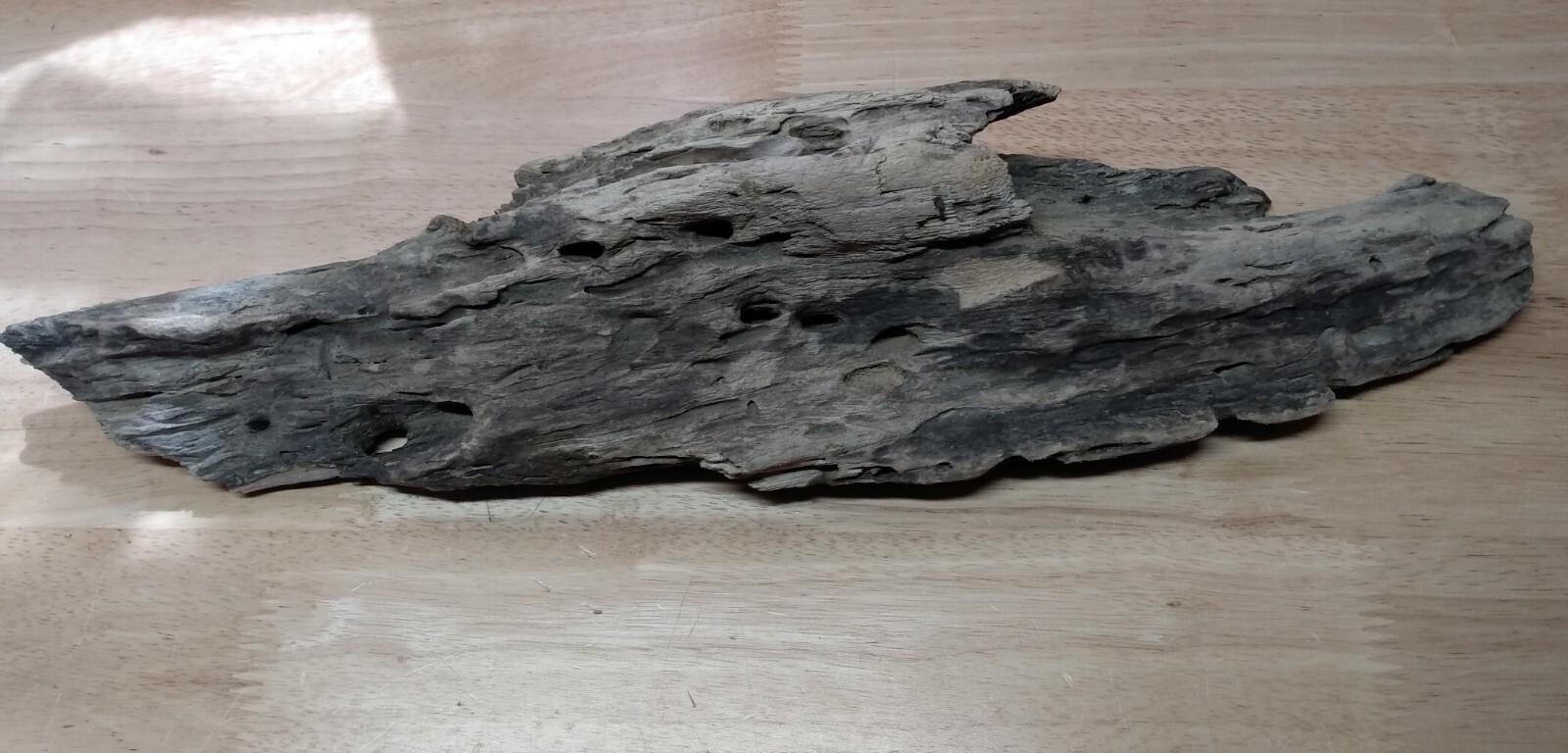 Lot of 5 Driftwood Pieces Reptile Terrarium Tank Art Enclosure Habitat Vivarium  Unbranded - фотография #11