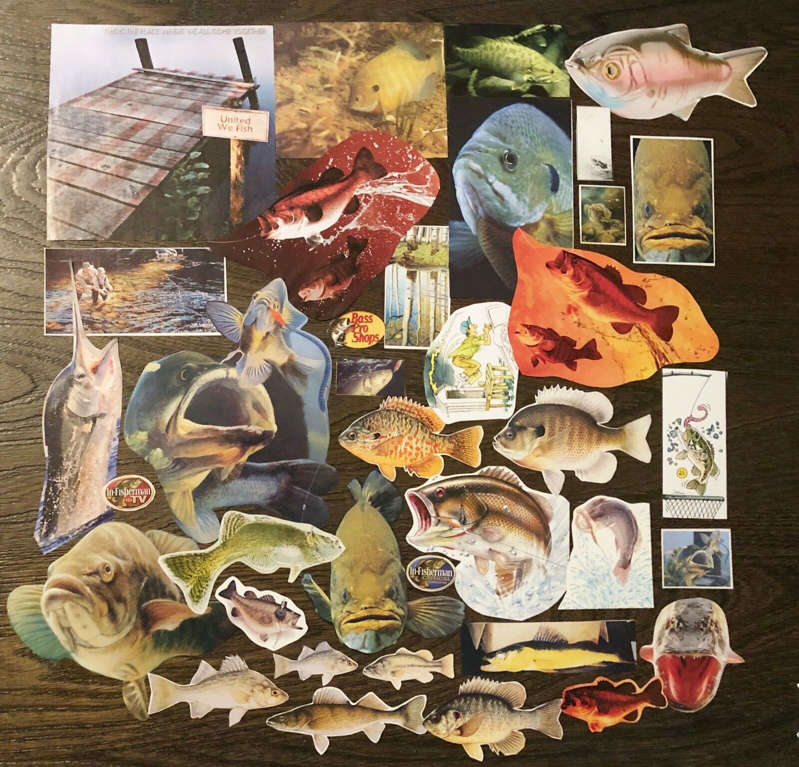 Vtg GONE FISHING! Fish Pics&Ads~Man Cave Junk Journal,Collage Art Scrap Book Lot Unbranded Does Not Apply