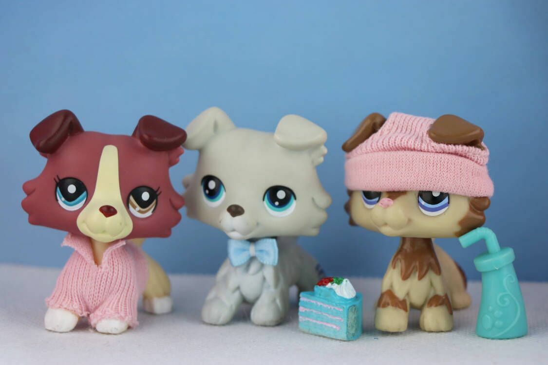 3xAuthentic Littlest Pet Shop LPS Collie 363 2210 1262 With lps Accessories RARE NLPS