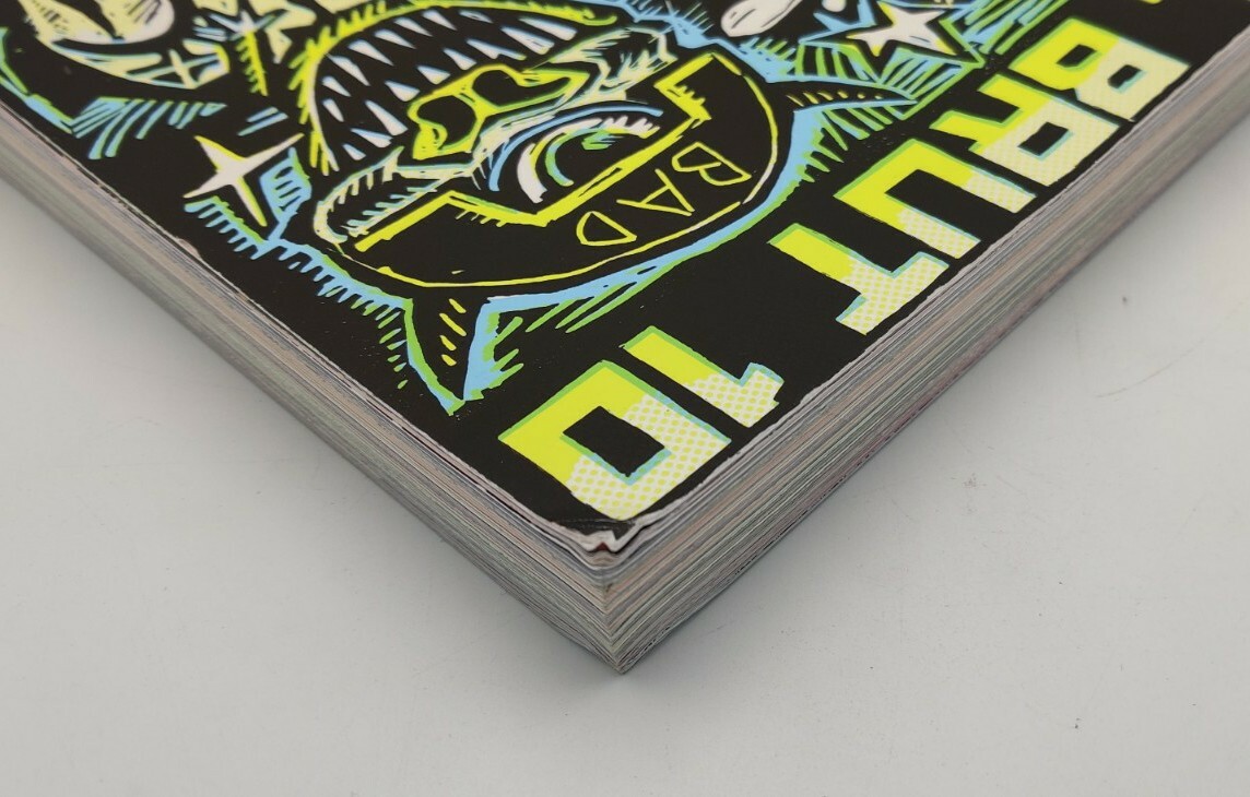 DC Books LE DERNIER CRI Hopital Brut #10 Underground Art Compilation Без бренда - фотография #9