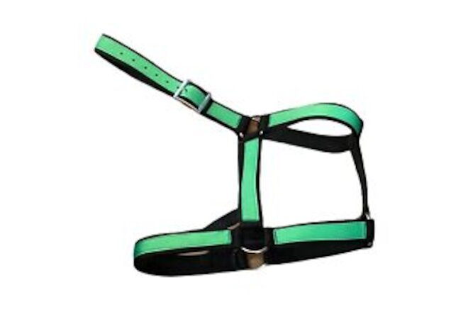 Draft Horse  Halter 3 Ply Strong and Durable Carter Pet Supply