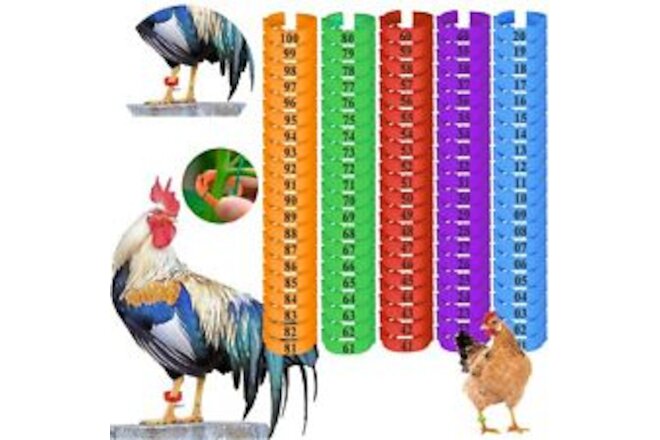 100 Pcs Chicken Leg Bands, Colorful Numbered Poultry Leg Bands Ring, Chicken Tag