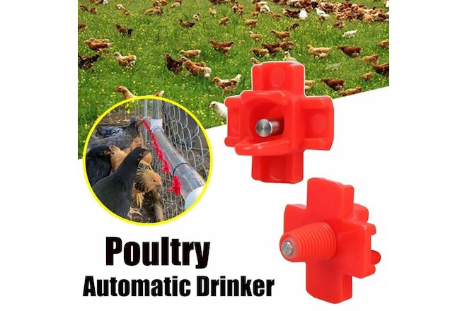 6Pcs/Lot Automatic Bird Quail Chicken Drinkers Hen Water Nipple Feeder Poultry