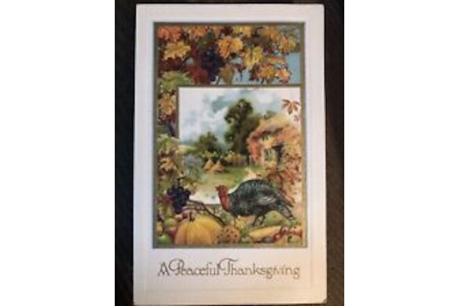 c1900s A Peaceful Thanksgiving Winsch Schmucker Embossed Antique Postcard