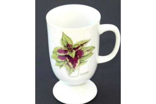 VERY RARE & VINTAGE Coleus Tropical Asian  Plant Glass Coffee Mug Cup