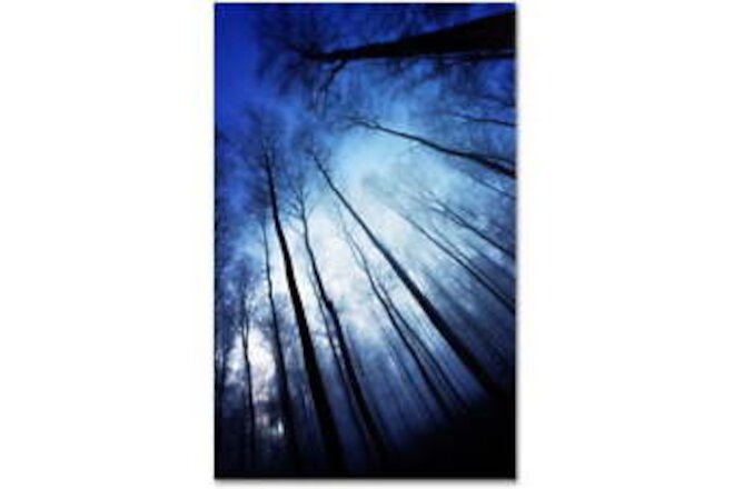 "Blue Forest" Canvas Art by Philippe Sainte-Laudy