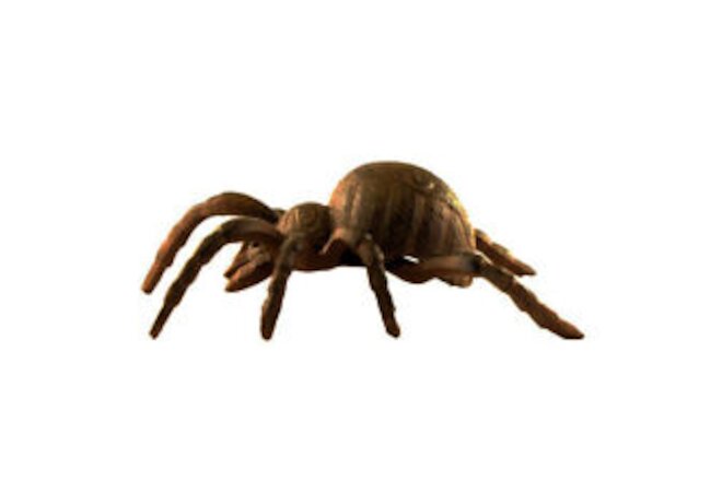 Acanthoscurria Insubtilis Cast Iron Large Giant Tarantula Spider Outdoor Statue