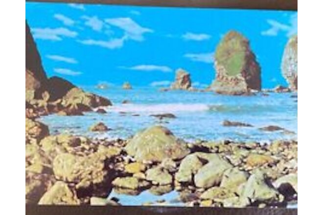 Vintage Postcard ~  Oregon Coast scenic seascape C11286 Ted Rosin