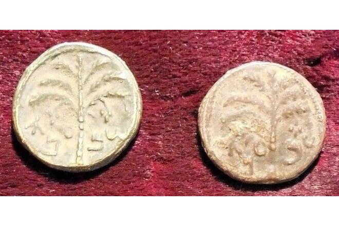 Antique BAR KOCHBA  Coins