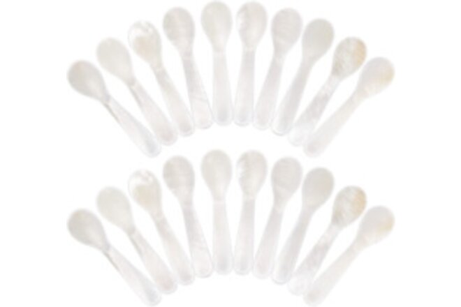 Set of Caviar Spoons Shell Spoon Mother of Pearl Caviar Spoons W round Handle...