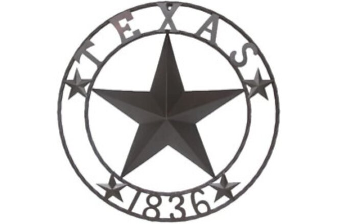 Texas 1836 Metal Star