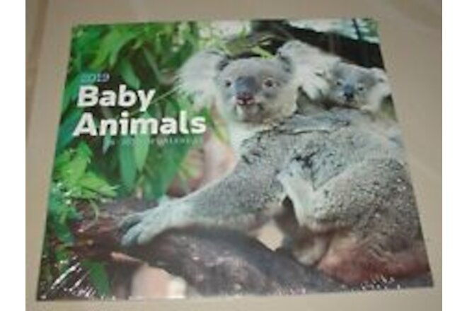 BABY ANIMALS Wall Calendar ENDED!! December 2019 12" x 11" BUY 2 Get 1 FREE B2G1