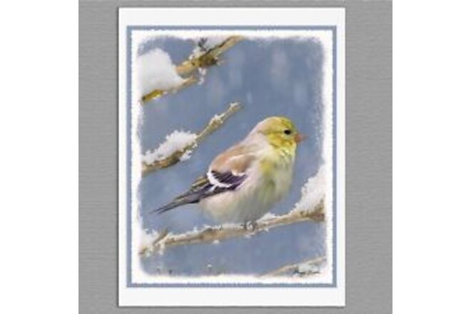 6 American Goldfinch in Winter Wild Bird Blank Art Note Greeting Cards
