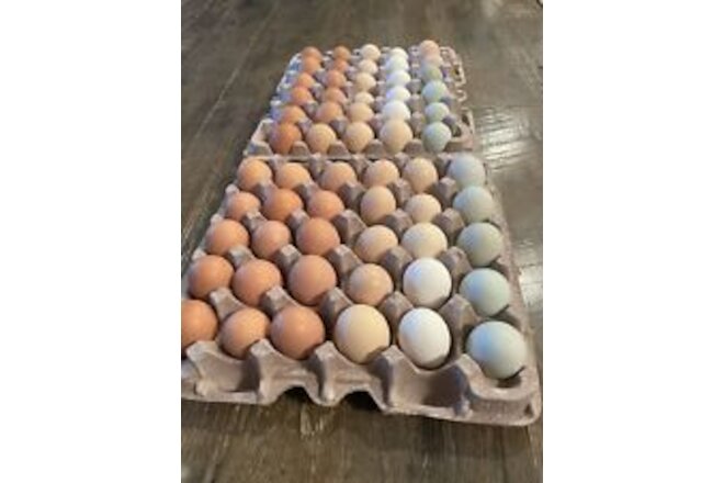 24 + Extras Fresh & Fertile Chicken Eggs - Barnyard Mix