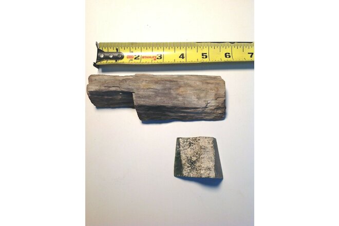 PETRIFIED WOOD BEAUTIFUL 5-1/2" LONG  & WEIGHS APPROX. 10 OUNCES + OTHER STONE