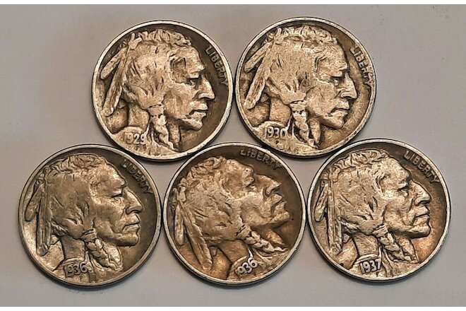 Five Full Date Buffalo Nickels with Five Different Dates!