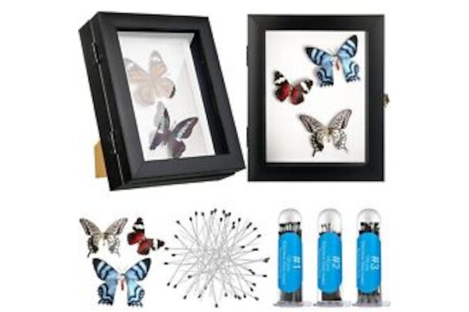 2 Pcs Insect Display Case Collection Shadow Boxes Butterfly Box with Clear To...
