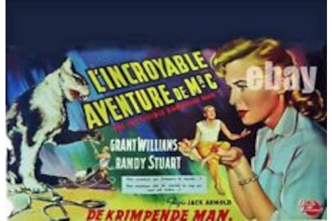 IMCREDIBLE SHRINKING MAN Sci Fi Horror Grant Williams 16.5 X 11.7 Repro LC 1957