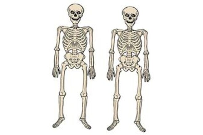 Beistle Vintage Halloween Jointed Skeletons Piece, 2 Vintage Halloween Skeleton