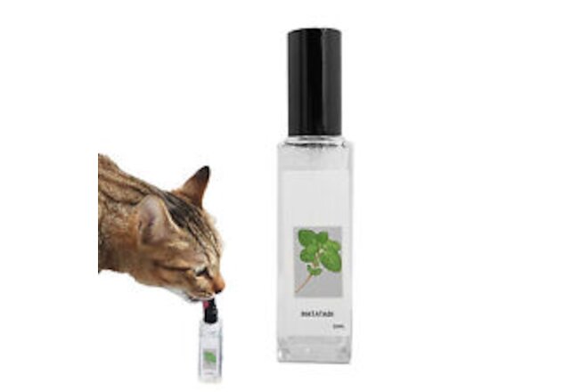 Herbal Cat Joy Spray Celery Pets Catnip Spray Catnip Spray for Cats